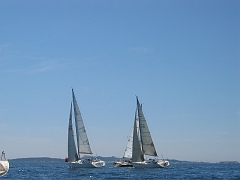la solitaire 133